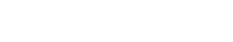 Virtual Payment Systems